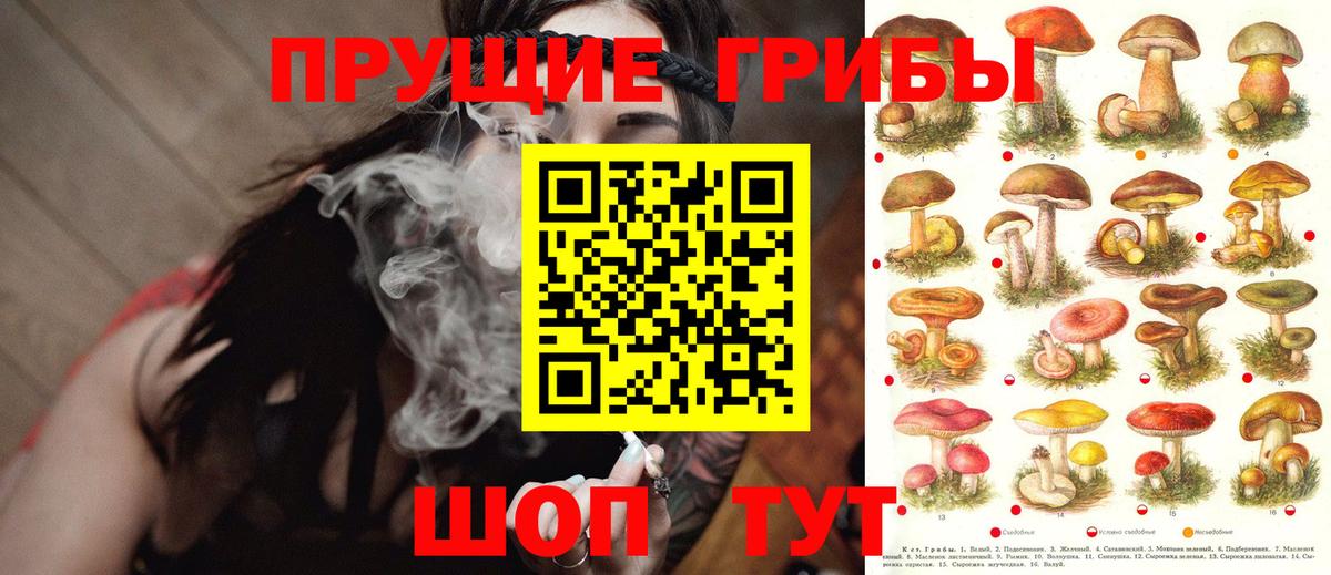 Вятские Поляны  как найти закладки  Вход с VPN  Галлюциногенные грибы Psilocybine cubensis 
